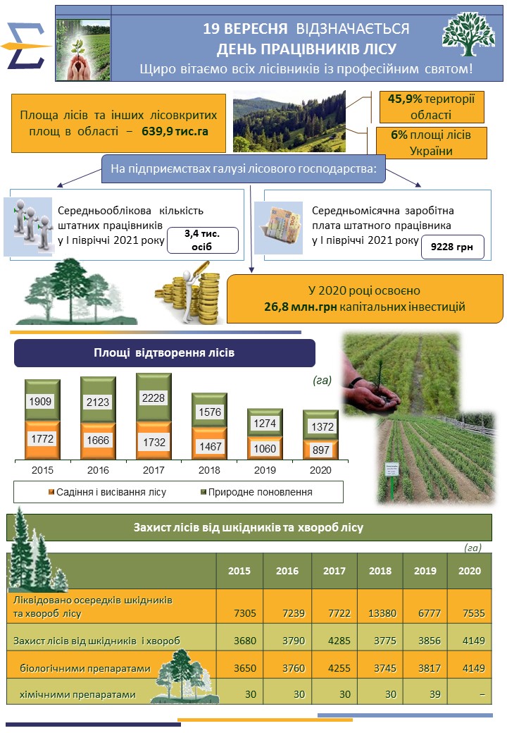 Діяльність підприємств лісового господарства