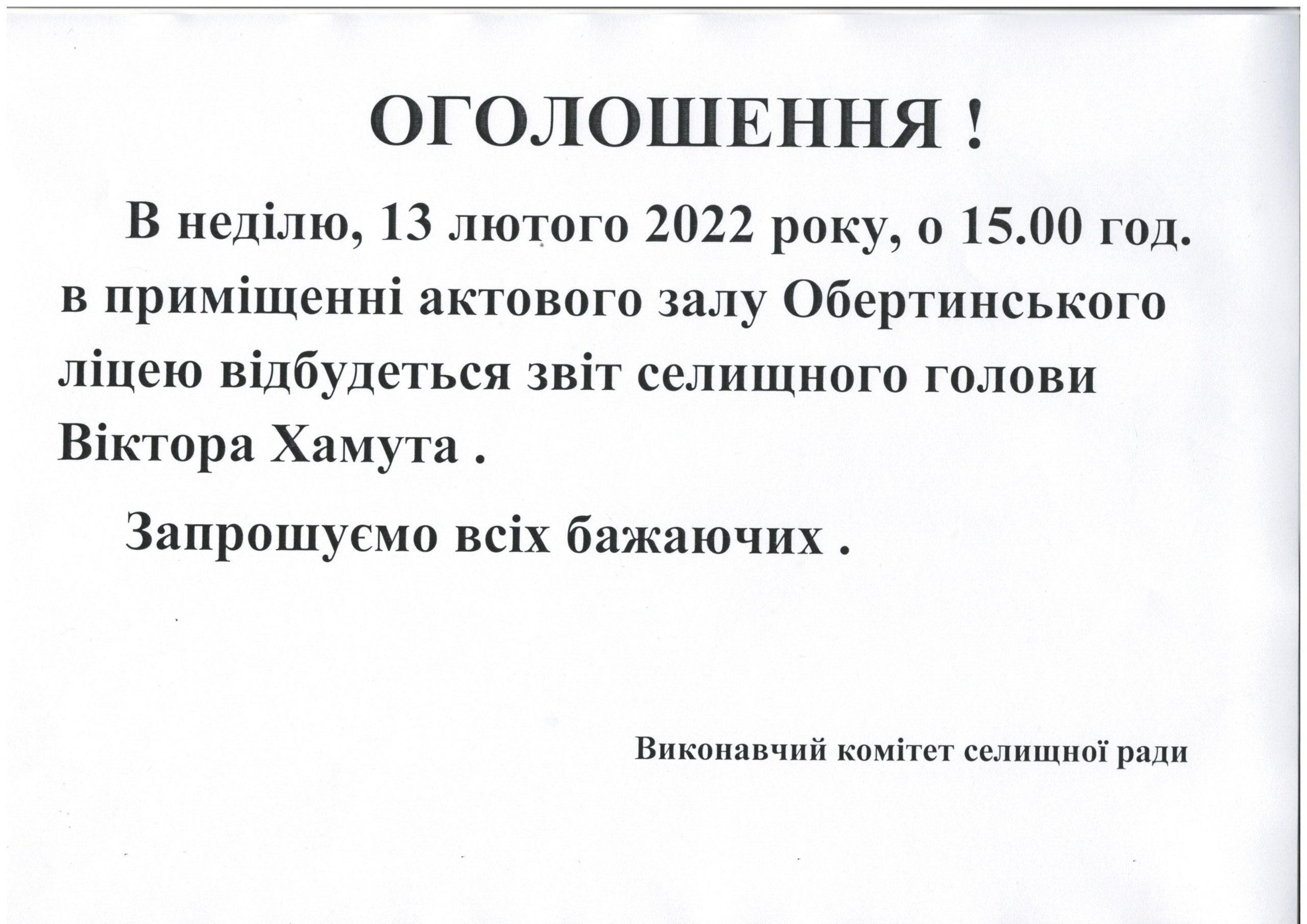 Звіт селищного голови